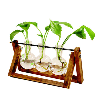 Hydroponic Plant Swing - NookTheOffice